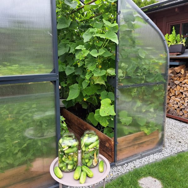 Garden Greenhouse