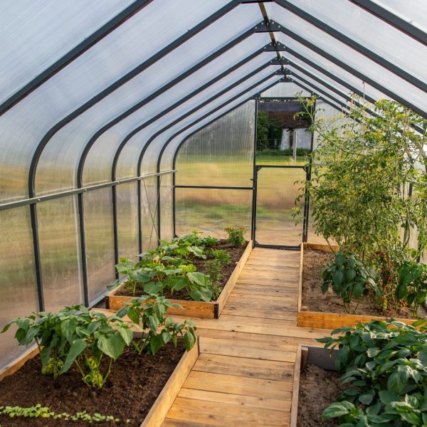 Garden Greenhouse